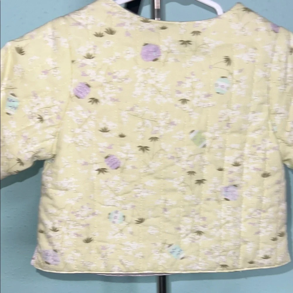 Gymboree Pastel Green Kids Jacket